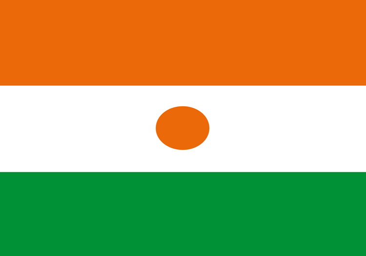 Drapeau Niger Pavillon nigérien Boutique de MonsieurDrapeaux